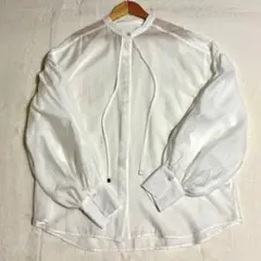 美品 ANIECA アニーカ 25SS シアーギャザーブラウス ホワイト