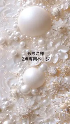 もちこ様2点専用ページ