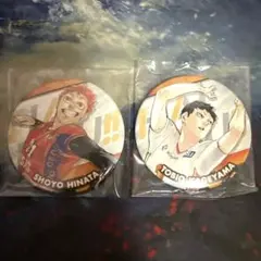 ハイキュー コレクション缶バッジ10周年ver．日向翔陽　影山飛雄二点セット