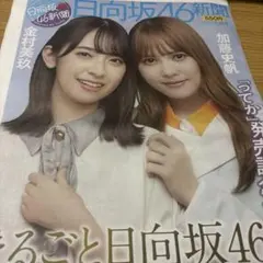 加藤史帆 金村美玖 チェキ 日向坂46新聞 金村美玖&加藤史帆 日向坂46新聞特典生写真 - メルカリ