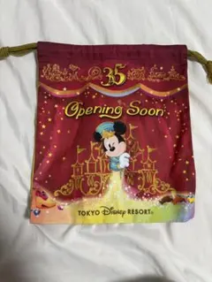東京ディズニーリゾート 35周年 ポーチ