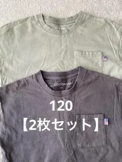 【2枚セット】USA cotton 半袖Tシャツ　ブラック　グリーン