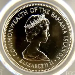 2025年最新】バハマ 銀貨の人気アイテム - メルカリ