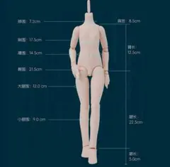 ꒰ imomodoll 1/4 咪咪狗 ボディ セミホワイト肌 男の子 ꒱