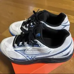 テニスシューズ ミズノ オムニ クレー ブレイクショット4OC 21センチ