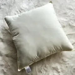 【Francfranc】専用クッション45×45㎝