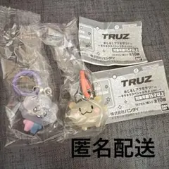 TRUZ めじるしアクセサリー 2個セット
