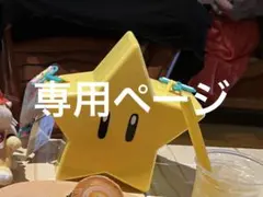 専用ページ