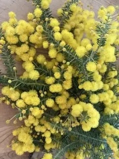 2025年最新】ミモザ ワンピースの人気アイテム - メルカリ