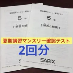 2026年最新】サピックス マンスリー 5年 夏期講習の人気アイテム