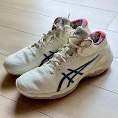 アシックス GELBURST 28 ゲルバースト 28 サイズ28.0cmのサムネイル