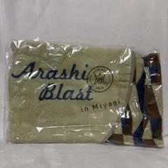 嵐 Arashi Blast in Miyagi タオル