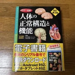 Item thumbnail for item cd19550b-bc52-4eec-b122-79830ef051c6