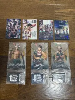 RIZIN ライコレ カード 那須川天心 武尊 - メルカリ