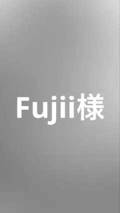 Fujii様 リクエスト 3点 まとめ商品