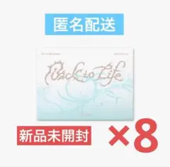 &TEAM Back to Life ミニ CDフォトカードbox