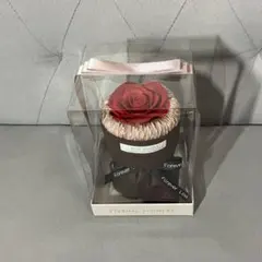 Item thumbnail for item 9d49c688-1efa-4f37-bc70-98f04cc4ca08