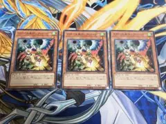 遊戯王 ドロール&ロックバード 25th(イラスト違い - メルカリ