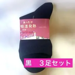 Item thumbnail for item a8a54c43-75e3-4a83-a8e4-07e8447f4169