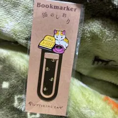 Item thumbnail for item 2fbfe031-b251-4c0c-9b3b-5f350f0b96b4