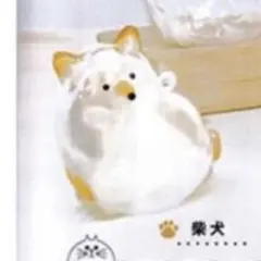 うちの子のけだまだま　柴犬