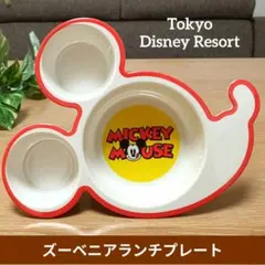 東京ディズニーリゾート ミッキー型ランチプレート 仕切り皿 ズーベニア 食器