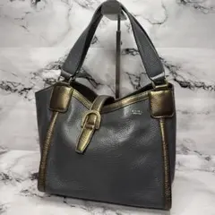 (美品)大人気、エーディーエムジェイ、ハンドバッグ、オールレザー、シボ革、人気色