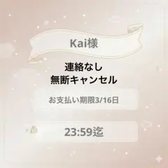 Kai様専用