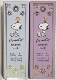 Peanuts Ice pack bottle 2個セット - メルカリ