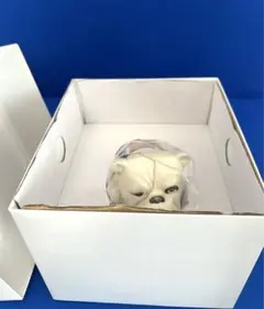 2025年最新】ブルドッグ 007の人気アイテム - メルカリ