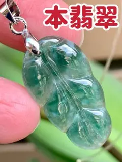 特別価格‼️☘本翡翠　グアテマラ翡翠　❄️氷種❄️ リーフ　新品 3468のサムネイル