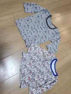 長袖シャツ2枚セット(山柄・キャラクター柄)