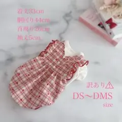 訳あり品⚠︎ハンドメイド犬服ꕤDS〜DMSサイズ♡重ね着風バルーンワンピース♡