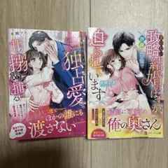 エタニティ文庫　7月8月新刊２冊セット