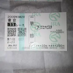 第142回 天皇賞(秋) ブエナビスタ 単勝馬券 - メルカリ