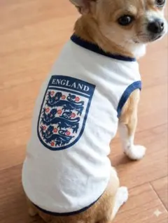 Item thumbnail for item d5d59b2e-5e92-4e5f-aa17-a2b84e452454