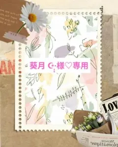 ✦期限4/17日迄✦葵月 ☪︎·̩͙様専用♡