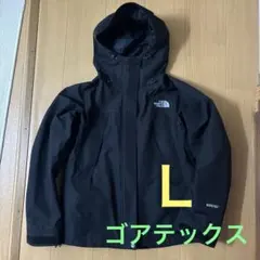 ザノースフェイス⭐︎マウンテンジャケット　ブラック　Ｌ