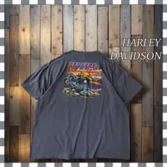 ハーレーダビッドソン アリゲーター バイクグラフィックTシャツ3XLのサムネイル