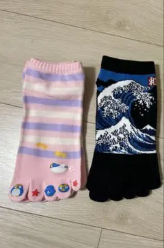 五本指レディースソックス2足セット　22-25㎝