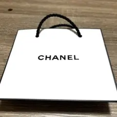 【美品】CHANEL シンプルロゴバッグ ショッパー