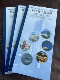 【匿名発送】近鉄グループホールディングス株主優待割引券の冊子のみ3冊出品します