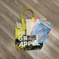 ミセス　バベルの塔Ringo Jamシート特典グッズセット　東京ドーム12/19