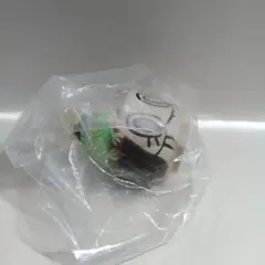 ポケモンキッズ　ヤバソチャ⑰
