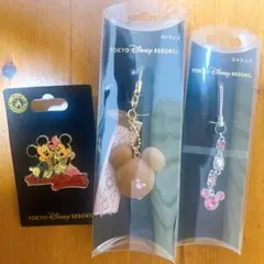 東京ディズニーリゾート ストラップ / ピンバッジ