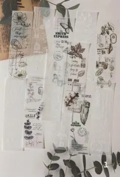 Item thumbnail for item 635861bd-96e4-415a-8635-df71ed51a501