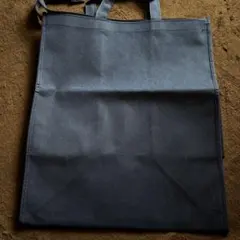 Item thumbnail for item 8ff10877-b6e1-4d24-8125-9dbdb8039d81