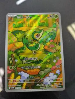 ツタージャ ar
