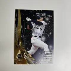 Item thumbnail for item c2fa1080-8e3f-4399-ae17-06aba7c96dec