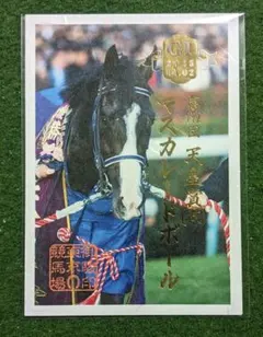 2026年最新】天皇賞秋の人気アイテム - メルカリ